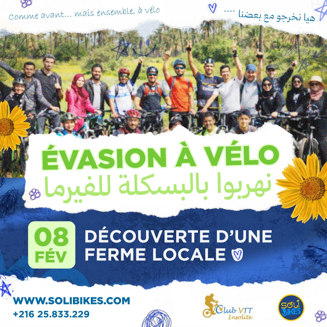 في ربوع الجزيرة